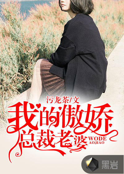 我的傲娇总裁老婆
