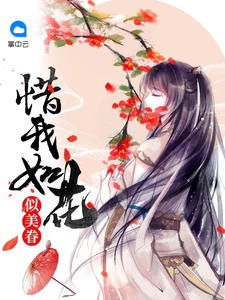 惜我如花似美眷