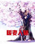 暖妻入怀