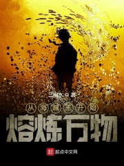 从海贼开始熔炼万物