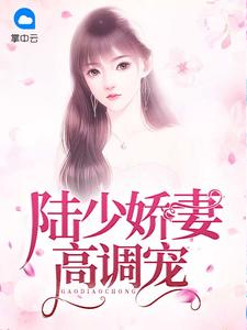 陆少娇妻高调宠