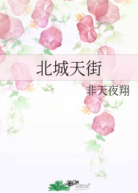 北城天街
