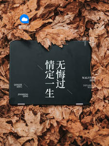 一胎二宝，总裁追妻上瘾