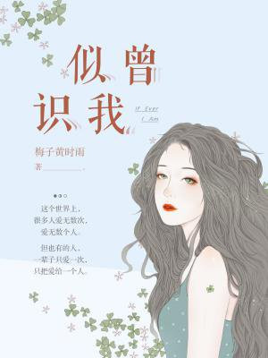 似曾识我