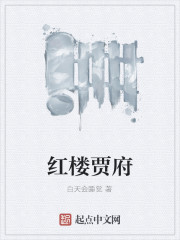 红楼贾府