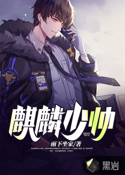 麒麟少帅