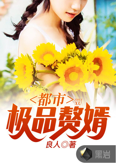 都市极品赘婿