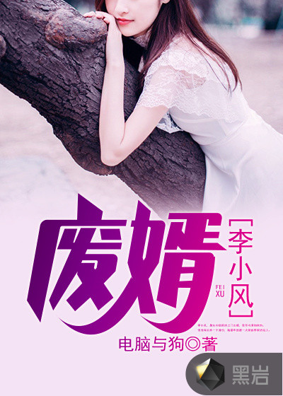 废婿，李小风
