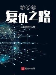 梦幻的复仇之路