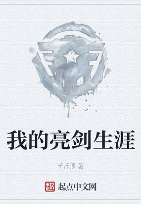 我的亮剑生涯