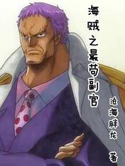 海贼之最苟副官