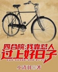 四合院：我靠怼人过上好日子