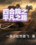四合院之平凡之路