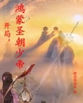 开局，鸿蒙圣朝少帝