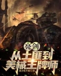 亮剑：从土匪到美械王牌师