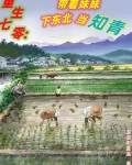重生七零：带着妹妹下东北当知青