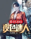 重回2001：夜色迷人