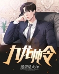 战天龙帅
