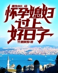 重生80，给怀孕媳妇过上好日子