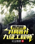 四合院：开局晋升九级工程师