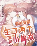 生了两个漏风小棉袄，奶爸哭晕