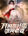 厨子当奶爸，开局茶叶蛋馋哭老婆