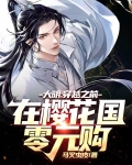 大明：穿越之前在樱花国零元购