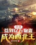 亮剑：签到亿万物资，成为西北王