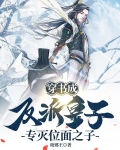穿书成反派皇子，专灭位面之子