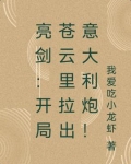 亮剑：开局苍云里获得意大利炮！