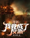 亮剑：我竟成了反派