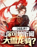 三国乱世？你可曾听闻大雪龙骑？