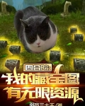 四合院：我的藏宝图有无限资源