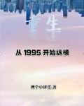 重生：从1995开始纵横