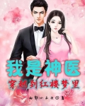 我是神医：穿越到红楼梦里
