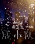 第七作战小队