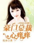99亿闪婚:豪门总裁夜夜忙人物结局