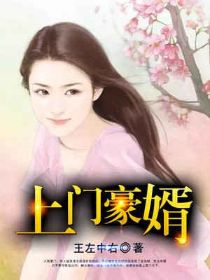 上门豪婿-王左中右