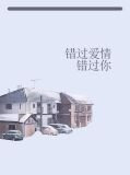 错过爱情错过你 叶宋