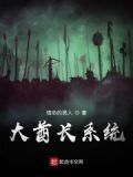 大酋长系统